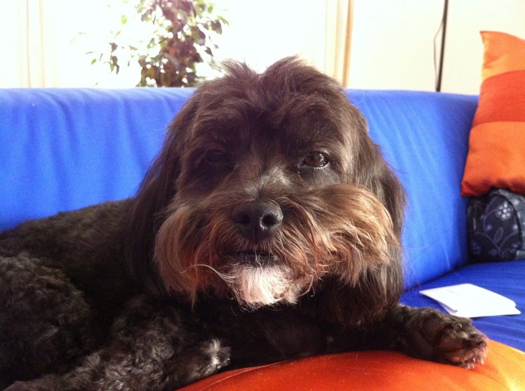 photo-12 (2)