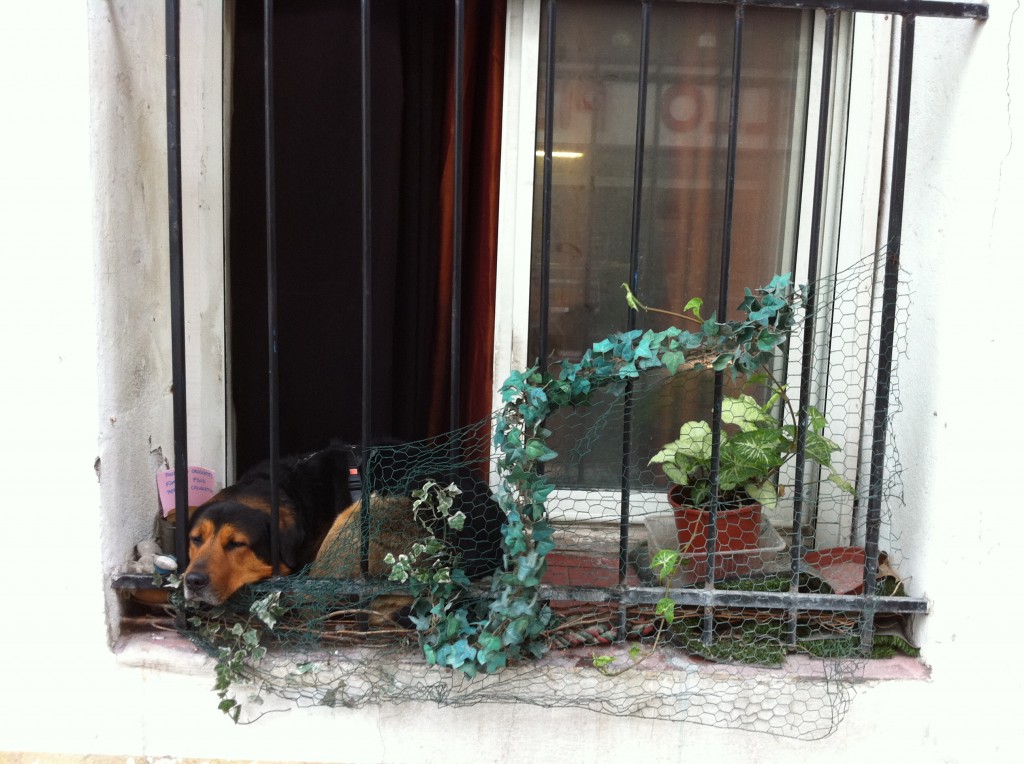 photo-18 (2)